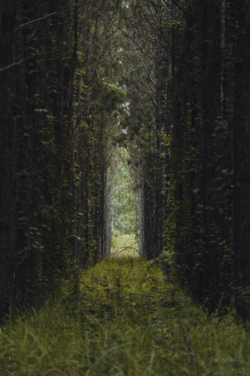Parallel Pathways